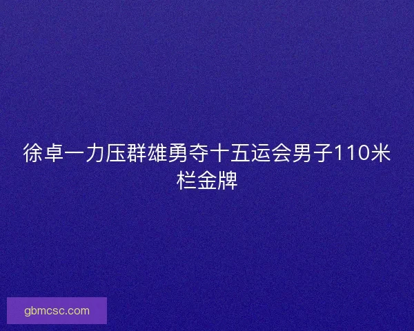 徐卓一力压群雄勇夺十五运会男子110米栏金牌