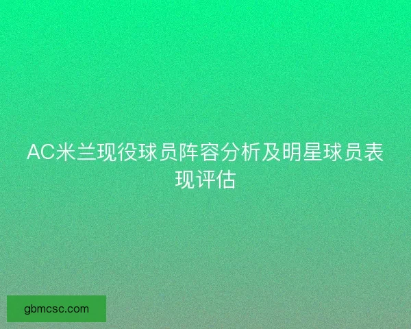 AC米兰现役球员阵容分析及明星球员表现评估
